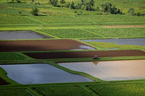 Derechos de agua al comprar o vender un campo: el plazo del 6 de abril de 2027