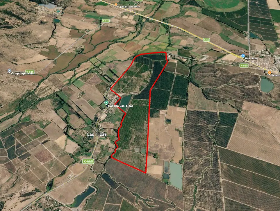 Agrícola Camino Los Nogales — 110 ha en producción, Pencahue — foto 1