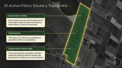 Vista satelital del paño de 59 hectáreas